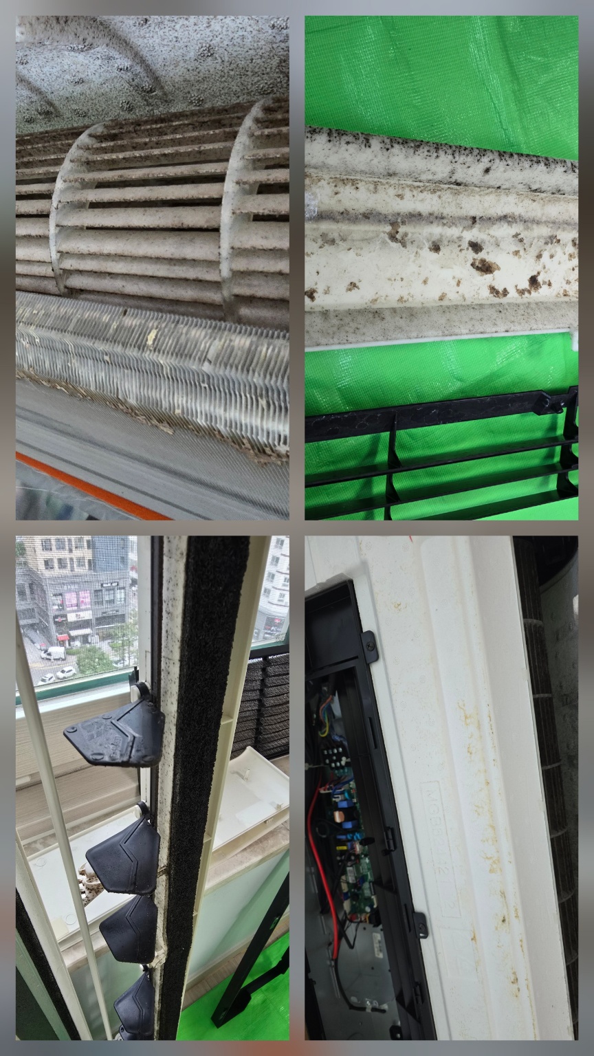 /user/g/gangtohomemechanic/editor/2505/857b9d1062a1c2a45525828b4c00c7d2_1748404176_8612.jpg 이미지크게보기